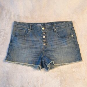 High Rise Denim Shorts